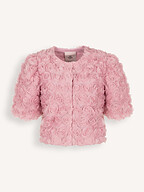 Freebird | Blazers and Jackets | Jackets