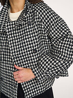 Freebird | Jassen | Jacks