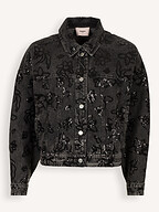 Freebird | Blazers and Jackets | Jackets