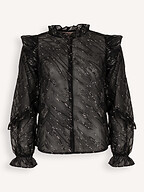 Freebird | Tops and Blouses | Tops