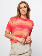 Freebird | Tops and Blouses | Tops