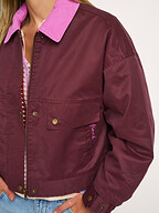 Frnch | Jassen | Jacks