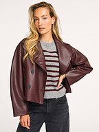 Haute L'Amitié | Truien en Vesten | Truien