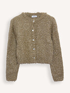 Knit-ted | Truien en Vesten | Vesten