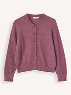 Knit-ted | Truien en Vesten | Vesten