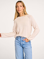 Knit-ted | Truien en Vesten | Truien