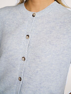 Knit-ted | Sweaters and Cardigans | Cardigans