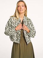 La Fee Maraboutee | Jassen | Jacks