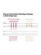Labareau | Accessories | Care/Beauty