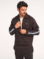 Lacoste | Sweaters and Cardigans | Cardigans