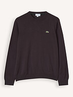 Lacoste | Sweaters and Cardigans | Jumpers