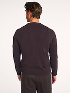 Lacoste | Truien en Vesten | Truien