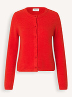 Modstrom | Truien en Vesten | Vesten