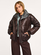 My Essential Wardrobe | Jassen | Gewatteerde jassen