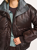 My Essential Wardrobe | Jassen | Gewatteerde jassen