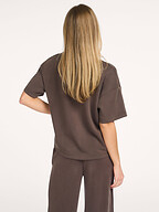 My Essential Wardrobe | Tops and Blouses | T-shirts