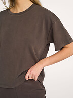 My Essential Wardrobe | Tops and Blouses | T-shirts