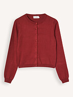 Nathalie Vleeschouwer | Truien en Vesten | Vesten