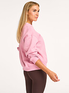 New Balance | Truien en Vesten | Sweaters en hoodies