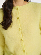 No Man's Land | Truien en Vesten | Vesten