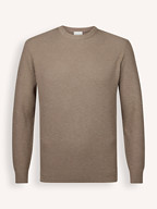 Profuomo | Sweaters and Cardigans | Jumpers
