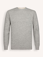 Profuomo | Sweaters and Cardigans | Jumpers