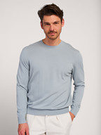 Profuomo | Sweaters and Cardigans | Jumpers