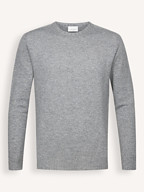 Profuomo | Truien en Vesten | Truien