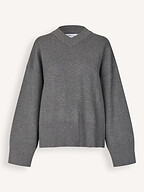 Samsoe Samsoe | Truien en Vesten | Truien