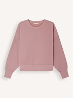 Sessun | Truien en Vesten | Sweaters en hoodies