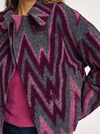 Studio Anneloes | Blazers en Jasjes | Jasjes