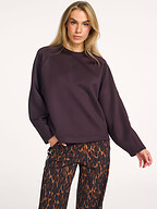 Studio Anneloes | Truien en Vesten | Sweaters en hoodies