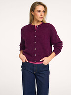 Studio Anneloes | Truien en Vesten | Vesten