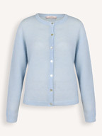 Studio Anneloes | Truien en Vesten | Vesten