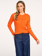 Studio Anneloes | Sweaters and Cardigans | Cardigans