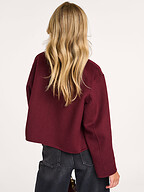 Studio AR | Outerwear | Coats and trenchcoats