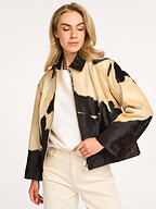Studio AR | Jassen | Leather