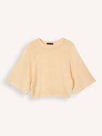 Studio AR | Truien en Vesten | Truien