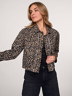 Summum | Blazers and Jackets | Jackets