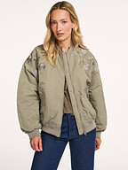 Summum | Jassen | Jacks