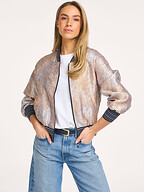 Summum | Jassen | Jacks