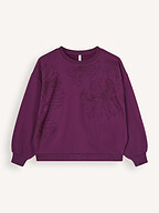 Summum | Truien en Vesten | Sweaters en hoodies