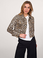 Suncoo | Blazers en Jasjes | Jasjes