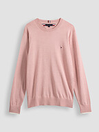 Tommy Hilfiger | Truien en Vesten | Truien