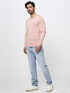 Tommy Hilfiger | Truien en Vesten | Truien