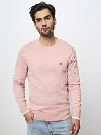 Tommy Hilfiger | Truien en Vesten | Truien