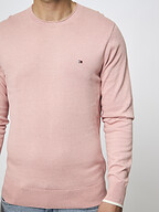 Tommy Hilfiger | Truien en Vesten | Truien