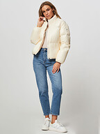 Tommy Hilfiger | Jassen | Gewatteerde jassen