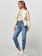 Tommy Hilfiger | Jassen | Gewatteerde jassen
