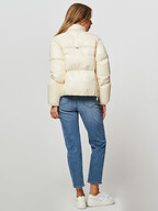 Tommy Hilfiger | Jassen | Gewatteerde jassen